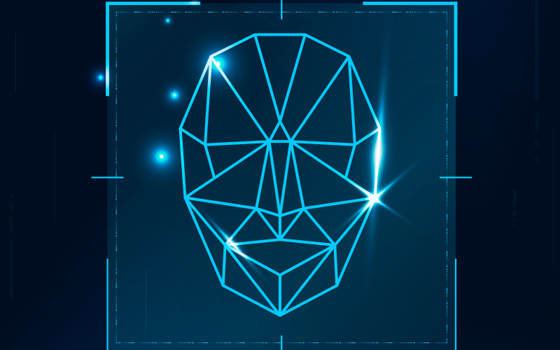 800X500